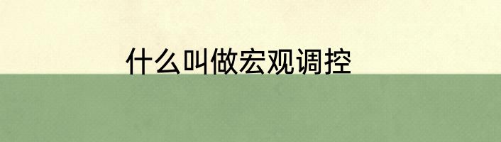 什么叫做宏观调控