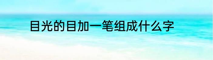 目光的目加一笔组成什么字