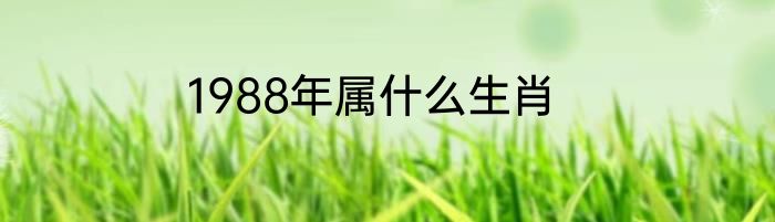 1988年属什么生肖