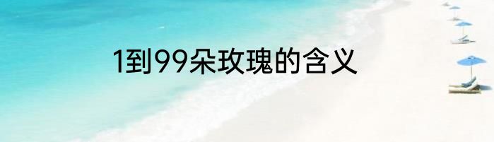 1到99朵玫瑰的含义