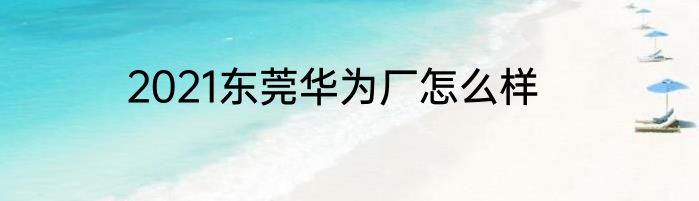 2021东莞华为厂怎么样