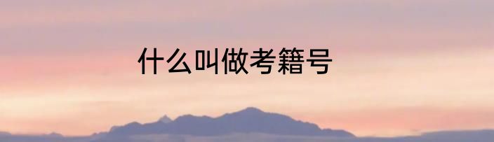 什么叫做考籍号