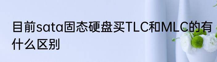 目前sata固态硬盘买TLC和MLC的有什么区别