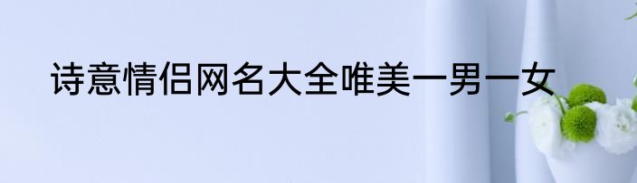 诗意情侣网名大全唯美一男一女