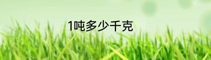 1吨多少千克