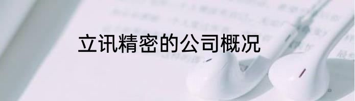 立讯精密的公司概况