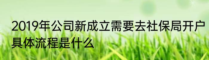 2019年公司新成立需要去社保局开户具体流程是什么
