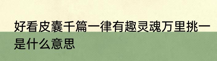 好看皮囊千篇一律有趣灵魂万里挑一是什么意思