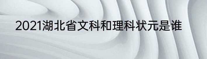 2021湖北省文科和理科状元是谁
