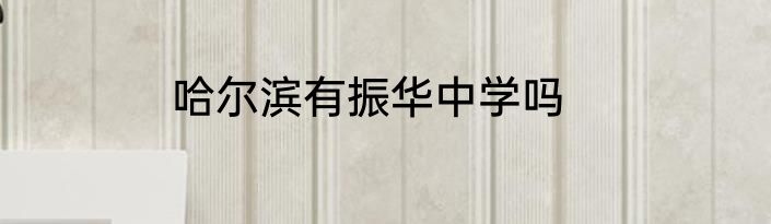 哈尔滨有振华中学吗