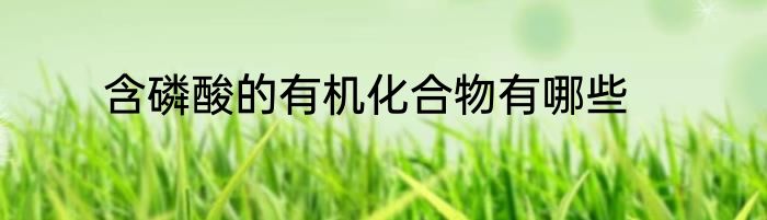 含磷酸的有机化合物有哪些