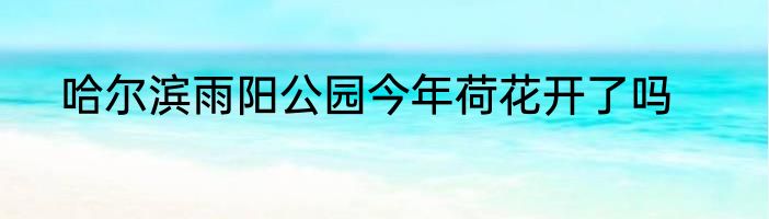 哈尔滨雨阳公园今年荷花开了吗