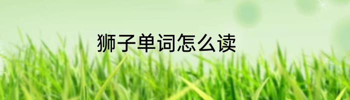 狮子单词怎么读
