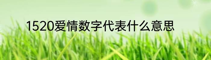 1520爱情数字代表什么意思