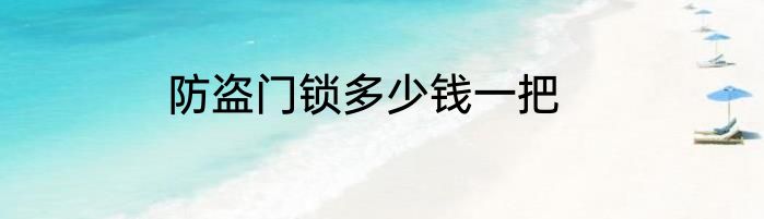 防盗门锁多少钱一把