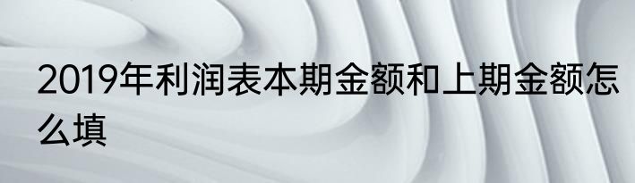 2019年利润表本期金额和上期金额怎么填
