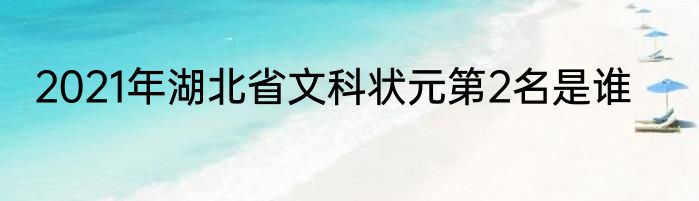 2021年湖北省文科状元第2名是谁