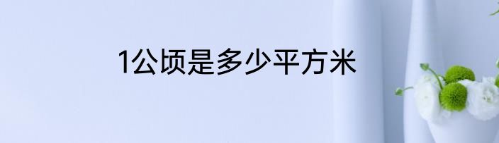 1公顷是多少平方米