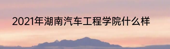 2021年湖南汽车工程学院什么样