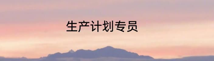 生产计划专员