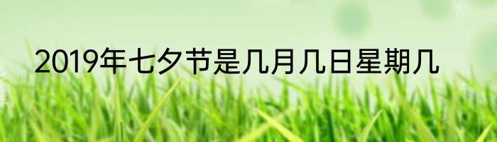 2019年七夕节是几月几日星期几