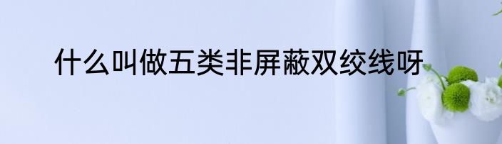 什么叫做五类非屏蔽双绞线呀