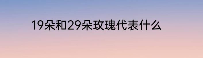 19朵和29朵玫瑰代表什么