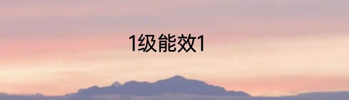 1级能效1