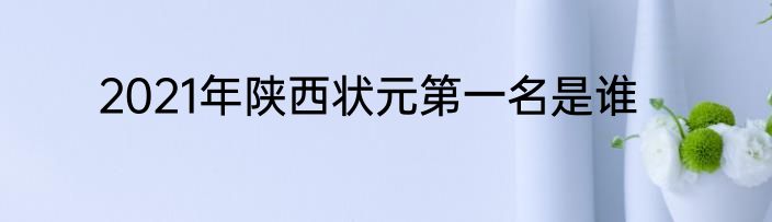 2021年陕西状元第一名是谁