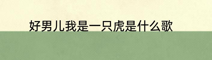 好男儿我是一只虎是什么歌