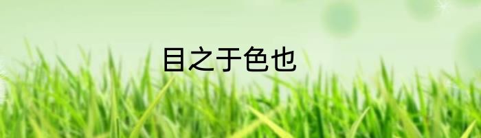 目之于色也