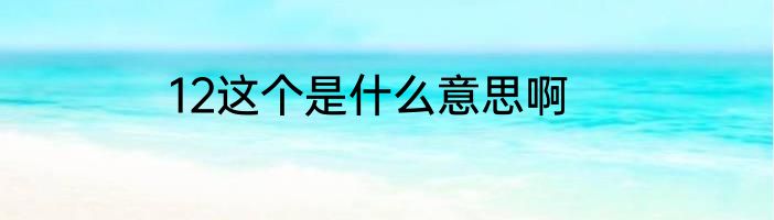 12这个是什么意思啊