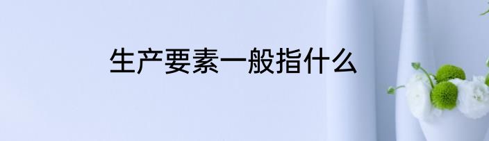 生产要素一般指什么