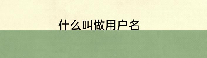 什么叫做用户名