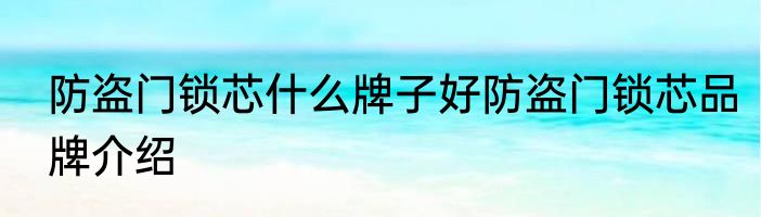 防盗门锁芯什么牌子好防盗门锁芯品牌介绍