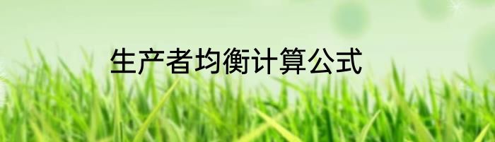 生产者均衡计算公式