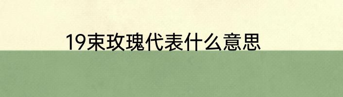 19束玫瑰代表什么意思