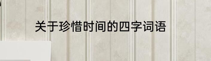 关于珍惜时间的四字词语