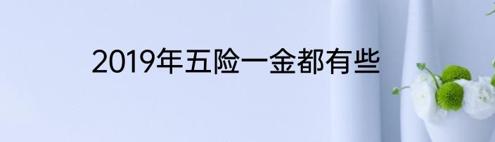 2019年五险一金都有些