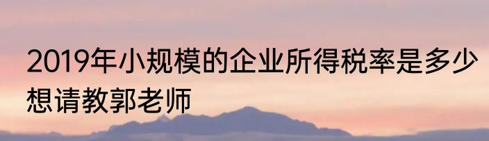 2019年小规模的企业所得税率是多少想请教郭老师