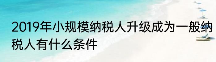 2019年小规模纳税人升级成为一般纳税人有什么条件
