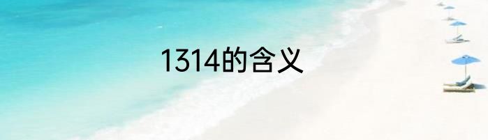 1314的含义