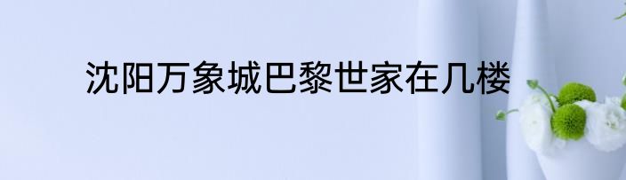 沈阳万象城巴黎世家在几楼