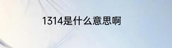 1314是什么意思啊