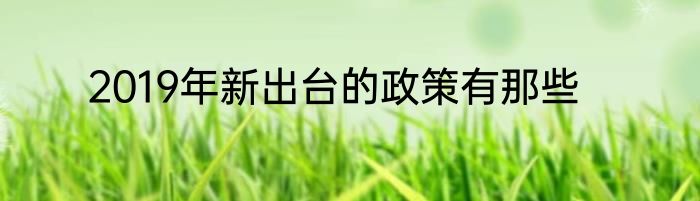 2019年新出台的政策有那些