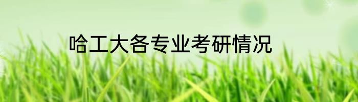 哈工大各专业考研情况
