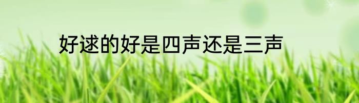 好逑的好是四声还是三声