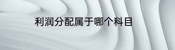 利润分配属于哪个科目