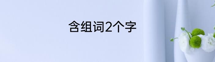 含组词2个字