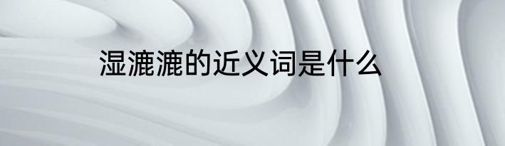 湿漉漉的近义词是什么